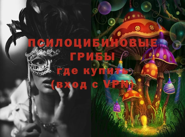 2c-b Козловка