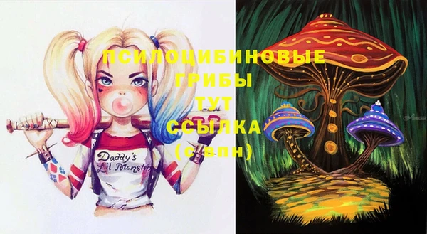 индика Коряжма