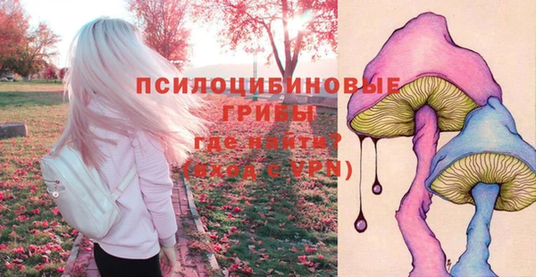 2c-b Козловка