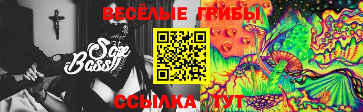 Галлюциногенные грибы Psilocybe  Псилоцибиновые грибы MAGIC MUSHROOMS  Вход с VPN  Мурино 