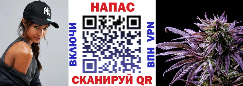 купить наркотики цена Мурино Марихуана планчик