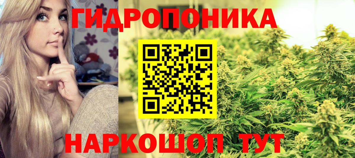 Каннабис THC 21%  Канабис конопля  Вход с VPN  Бошки Шишки индика  Каннабис Ganja  Мурино 